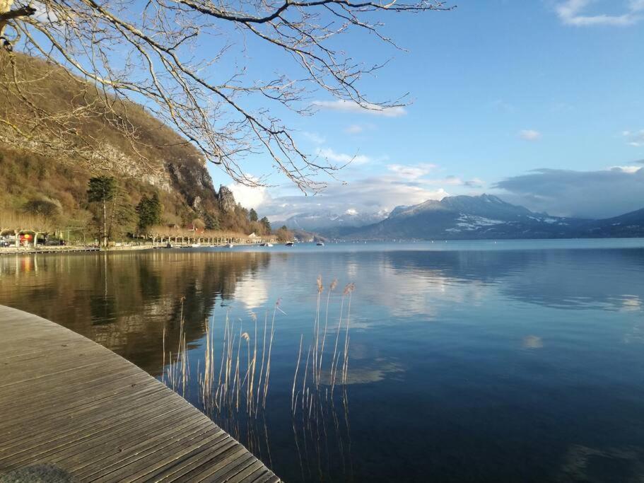 Cabana & Le Central - Proche Lac , Terrasse Et Parking Annecy Ngoại thất bức ảnh
