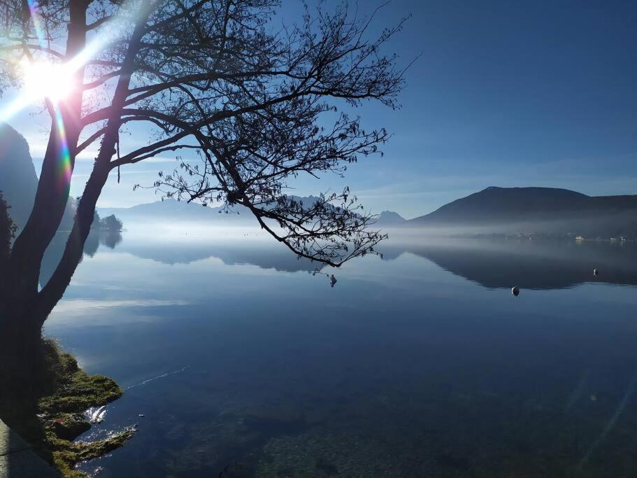 Cabana & Le Central - Proche Lac , Terrasse Et Parking Annecy Ngoại thất bức ảnh